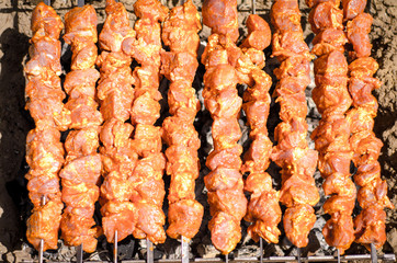 Barbecue skewers with meat