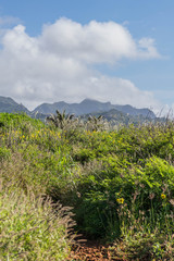Portion of The Heritage Hiking Trail with a cloudy blue sky and mountains in the background, on Kauai, Hawaii