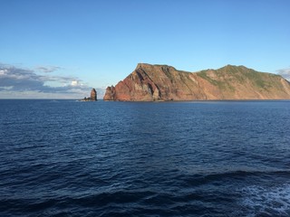 Naklejka premium ile