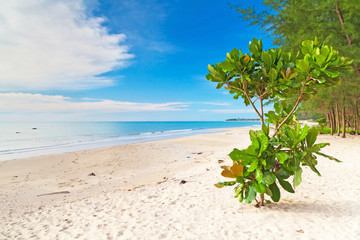 Idyllic beach of Andaman Sea in Thailand
