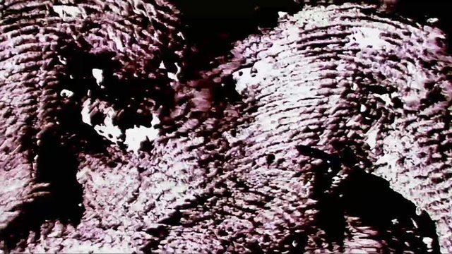 Cycling Hand Painted Film Graphic Texture 29
