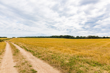 Road in the field