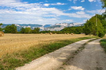 Fototapeta na wymiar Farmland road in a mountain landscape with fields filled with hay bales