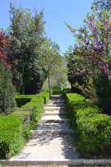 Fototapeta na wymiar La Alhambra, Granada