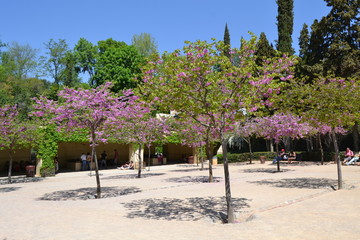 La Alhambra, Granada