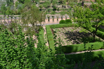 La Alhambra, Granada - 169453501