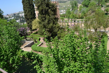La Alhambra, Granada - 169453509