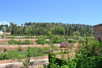 La Alhambra, Granada - 169453524