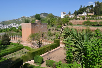 La Alhambra, Granada - 169453531