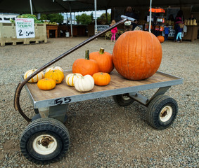 Gourds on wagon