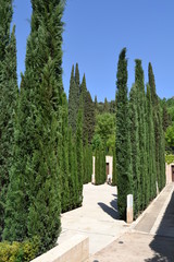 La Alhambra, Granada - 169453701