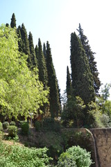 La Alhambra, Granada - 169453706
