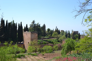 La Alhambra, Granada - 169453716