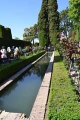 La Alhambra, Granada - 169453734