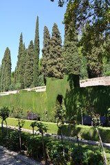 La Alhambra, Granada - 169453753