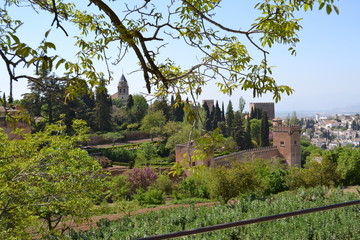 La Alhambra, Granada - 169453764