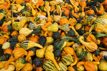 Various decorative gourds