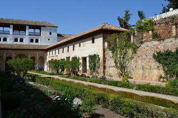 La Alhambra, Granada - 169453981