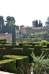 La Alhambra, Granada - 169454123