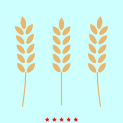 Wheat  set  it is color icon .