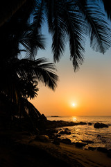 Beautiful sunset seascape with coconut palms silhouette