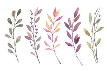 Fototapeta na wymiar Hand drawn watercolor illustrations. Autumn Botanical clipart. Set of fall leaves, herbs and branches. Floral Design elements. Perfect for invitations, greeting cards, blogs, posters, prints