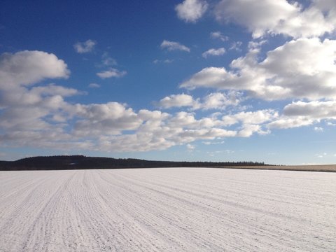 Wintersky