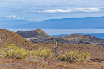Sierra Negra Volcano, Galapagos, Ecuador