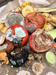 Verschimmeltes Obst und Gemüse auf grauem Papier