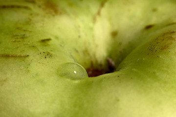 Green apple texture with water droplet macro