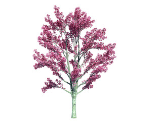 Obraz premium 3d rendering of a realistic green tree isolated on white