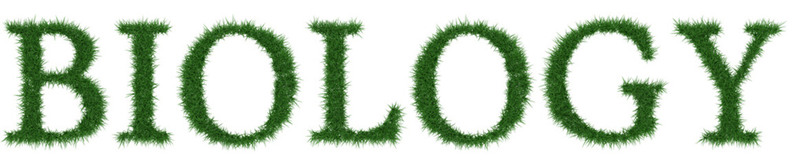 Biology - 3D rendering fresh Grass letters isolated on whhite background.