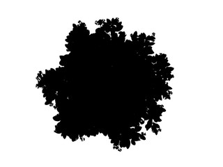 3d rendering of a silhouette tree isolated on white background