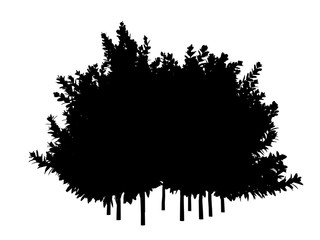3d rendering of a silhouette tree isolated on white background
