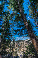 Fototapeta premium Yellowstone Landscape