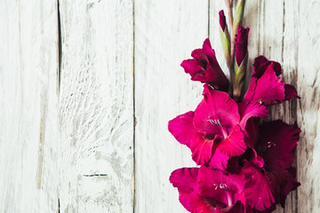 Gladiolus on a white wooden background