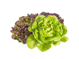 Bunch of lettuce salad © photohampster