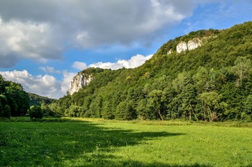 Fototapeta premium Sunny summer landscape. Beautiful green Jurassic valley in Poland.
