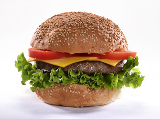 Classica hamburguesa de queso.