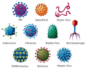 Diagram showing different kinds of viruses - obrazy, fototapety, plakaty