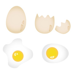 Hühnerei roh und gekocht