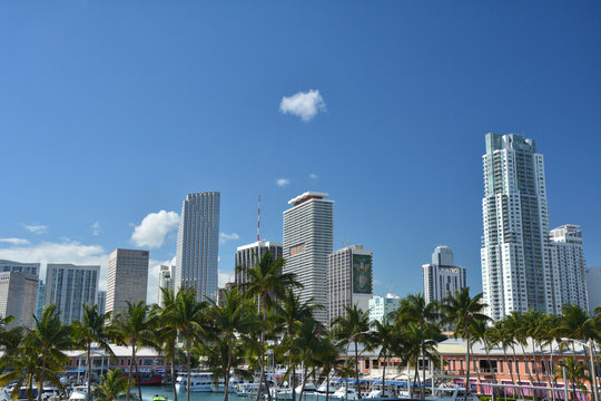 Miami Downtown skyscrapers