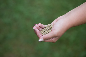 Hand full of food pellets