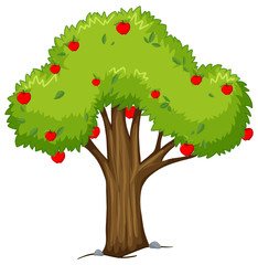 Apple tree with red apples