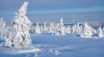 Winter auf dem Brocken im Harz Nationalpark,Deutschland