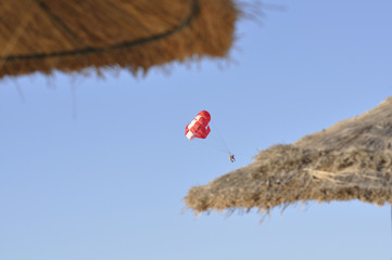 Люди летят на парашюте над морем на закате 