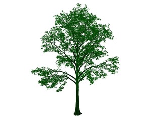 Obraz premium 3d rendering of an outlined black tree with green edges isolated on white background