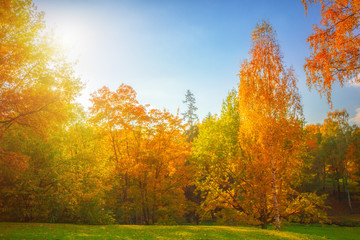 Fototapeta premium Autumn landscape