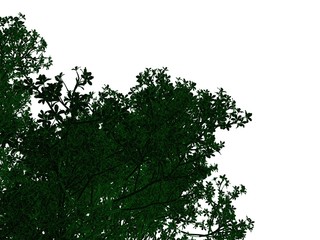 3d rendering of an outlined black tree with green edges isolated on white background