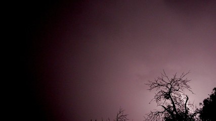 Obraz na płótnie Canvas Lightning and tree